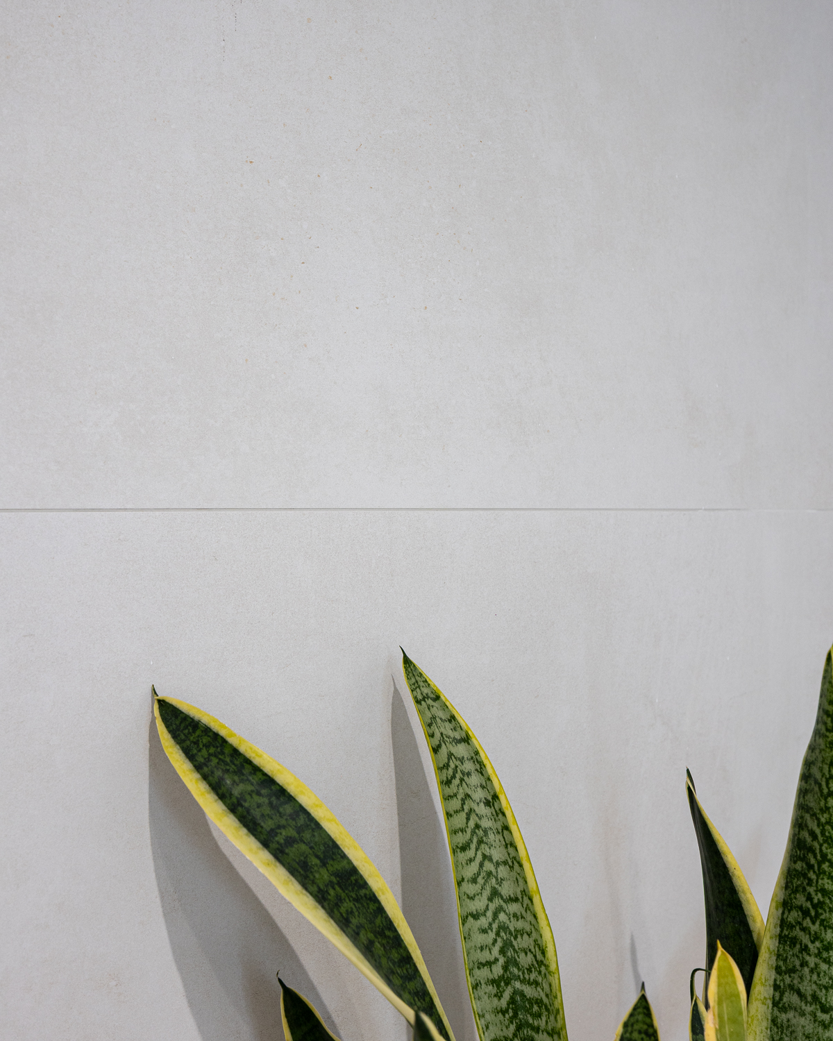 Imagen del proyecto Casa Nuvart